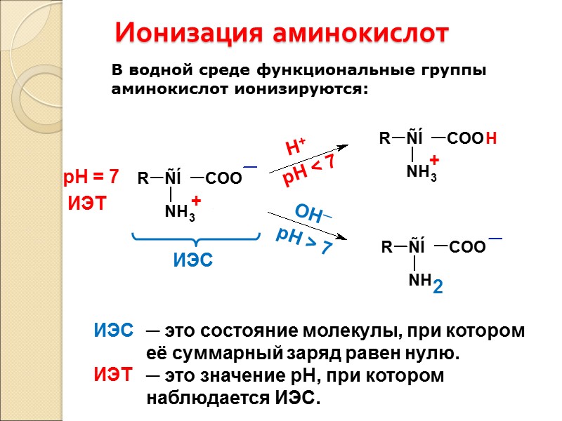 Ионизация аминокислот В водной среде функциональные группы аминокислот ионизируются: рН = 7 ИЭТ ИЭС